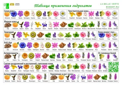 Чим корисний кульбаба для волосся
