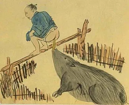 Чим харчується свиня