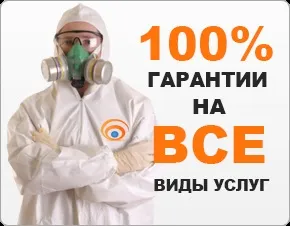 Що робити, якщо в квартирі завелися блохи - міська станція дезінфекції (завелися) Що робити, якщо в квартирі завелися блохи - міська станція дезінфекції