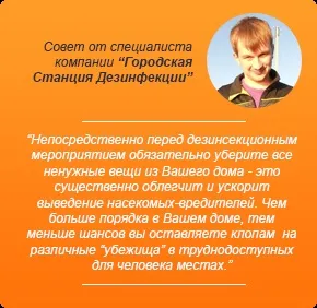 Що робити, якщо в квартирі завелися блохи - міська станція дезінфекції (квартирі) Що робити, якщо в квартирі завелися блохи - міська станція дезінфекції