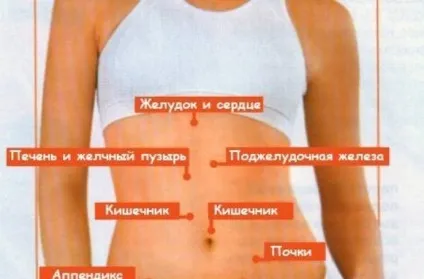 Що їсти коли болить шлунок що є, якщо болить живіт, два апельсина