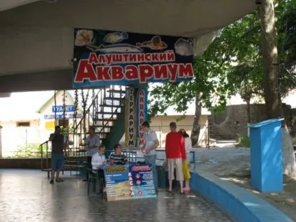 Що цікавого можна подивитися в професорському куточку (куточку) Що цікавого можна подивитися в професорському куточку