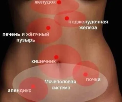 Щоб знати, що не просто «живіт болить» - інтернет-видання «фенікс-слово» (живіт) Щоб знати, що не просто «живіт болить» - інтернет-видання «фенікс-слово»