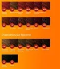 Що таке гель для волосся склад і ефективність (гель) Що таке гель для волосся склад і ефективність