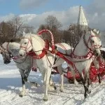 Що подарувати на весілля оригінальне (оригінальний подарунок весілля) Що подарувати на весілля оригінальне