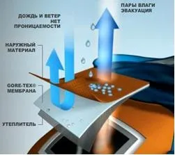 Що таке мембрана, активний відпочинок (мембрана) Що таке мембрана, активний відпочинок