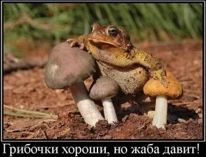Що означає вираз жаба давить чому говорять жаба задавила, що означає (тисне) Що означає вираз жаба давить чому говорять жаба задавила, що означає