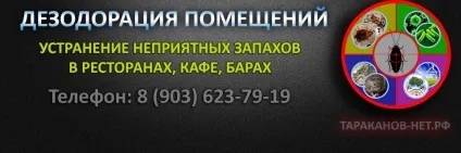 Що таке озон користь і шкода
