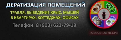 Що таке озон користь і шкода