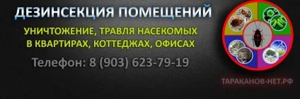 Що таке озон користь і шкода