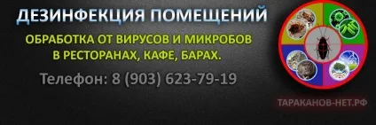 Що таке озон користь і шкода