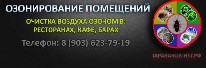 Що таке озон користь і шкода