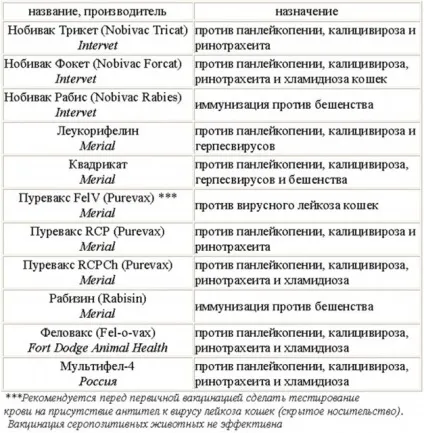 Що потрібно знати про вакцинацію і щеплення кішкам (кішкам) Що потрібно знати про вакцинацію і щеплення кішкам