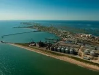 Що таке збудження значення слова, вживання в різних областях знання (таке) Що таке збудження значення слова, вживання в різних областях знання