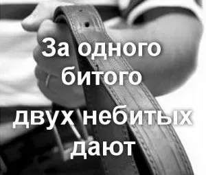 Що значить за одного битого двох небитих дають значення і сенс фразеологізму (походження) Що значить за одного битого двох небитих дають значення і сенс фразеологізму