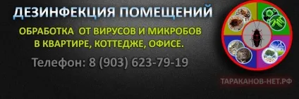 Що таке озон користь і шкода