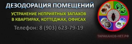 Що таке озон користь і шкода
