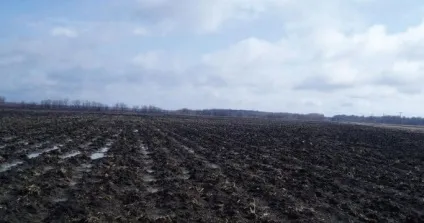 Що таке вологість грунту, визначення вологості ґрунту