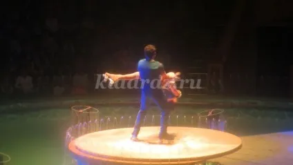 Цирк на воді