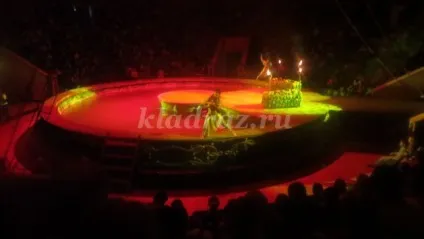 Цирк на воді