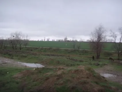 Що таке вологість грунту, визначення вологості ґрунту