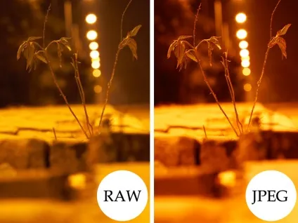 Що вибрати режим jpeg або raw
