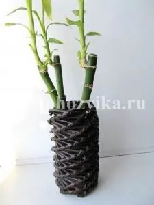 Декор пляшки-спосіб виготовлення з фото (плетіння з газет своїми руками) Декор пляшки-спосіб виготовлення з фото