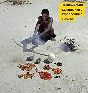 Дев'ять кіл отрути