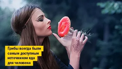 Дев'ять кіл отрути