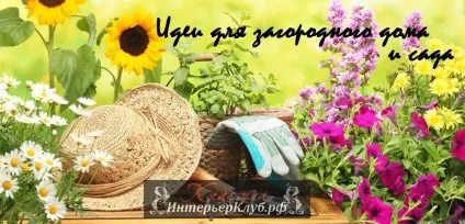 Дитячий ігровий будиночок для дачі та присадибної ділянки ідеї оформлення інтер'єру (ідеї) Дитячий ігровий будиночок для дачі та присадибної ділянки ідеї оформлення інтер'єру