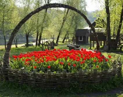 Дизайнерські способи осінньої посадки цибулинних (посадки) Дизайнерські способи осінньої посадки цибулинних