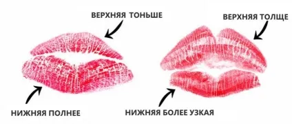 Характер людини по губах і їх формі (формі) Характер людини по губах і їх формі