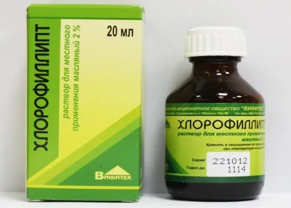Хлорофіліпт як розводити для полоскання горла (розводити) Хлорофіліпт як розводити для полоскання горла