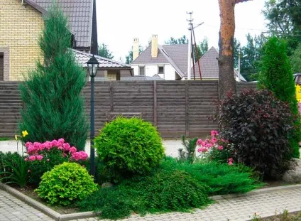 Хвойний миксбордер фото, пристрій, розташування (хвойний миксбордер в ландшафтному дизайні) Хвойний миксбордер фото, пристрій, розташування