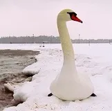 Дорога мск-курорт! Багато питань! Запис користувача мамочка) (love888sl) в співтоваристві активний (багато) Дорога мск-курорт! Багато питань! Запис користувача мамочка) (love888sl) в співтоваристві активний