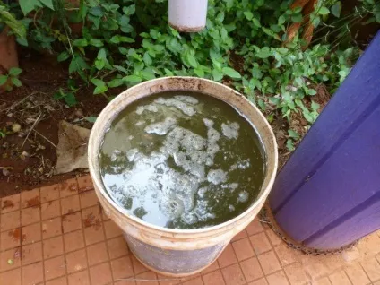 Видобуток біогазу в домашніх умовах, мозгочіни (видобуток) Видобуток біогазу в домашніх умовах, мозгочіни