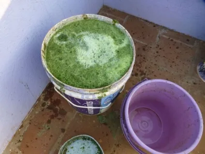 Видобуток біогазу в домашніх умовах, мозгочіни (водневий показник продуктів бродіння) Видобуток біогазу в домашніх умовах, мозгочіни