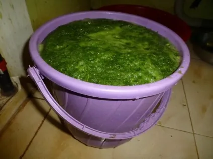 Видобуток біогазу в домашніх умовах, мозгочіни (показник продуктів бродіння) Видобуток біогазу в домашніх умовах, мозгочіни