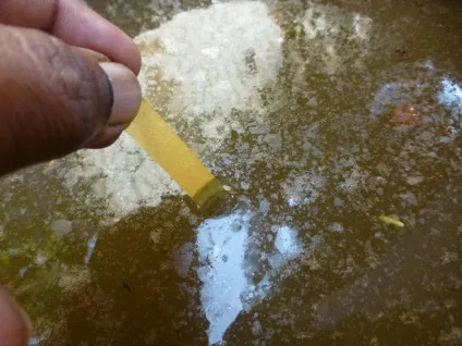 Видобуток біогазу в домашніх умовах, мозгочіни (біогазу) Видобуток біогазу в домашніх умовах, мозгочіни