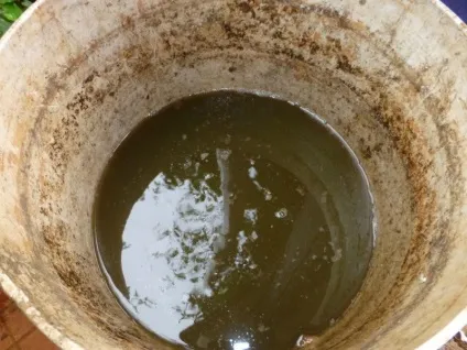 Видобуток біогазу в домашніх умовах, мозгочіни (водневий показник продуктів бродіння) Видобуток біогазу в домашніх умовах, мозгочіни
