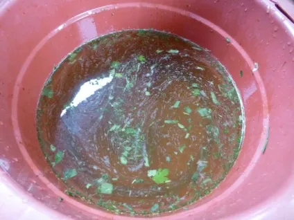Видобуток біогазу в домашніх умовах, мозгочіни (водневий показник продуктів бродіння) Видобуток біогазу в домашніх умовах, мозгочіни