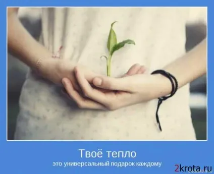 Щоденники - думки, фрази, вірші, висловлювання - все, що зворушило за душу (ніби знаєш таке) Щоденники - думки, фрази, вірші, висловлювання - все, що зворушило за душу