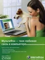 Джек рассел тер'єр собака порода, опис, фото, цуценята, реклама і фільми (порода джек рассел тер'єр) Джек рассел тер'єр собака порода, опис, фото, цуценята, реклама і фільми