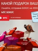 Джек рассел тер'єр собака порода, опис, фото, цуценята, реклама і фільми (джек) Джек рассел тер'єр собака порода, опис, фото, цуценята, реклама і фільми