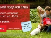 Джек рассел тер'єр собака порода, опис, фото, цуценята, реклама і фільми (порода джек рассел тер'єр) Джек рассел тер'єр собака порода, опис, фото, цуценята, реклама і фільми