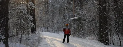 До «зоряний»