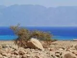 Екскурсії в Єгипті в шарм-ель-Шейху (Єгипті) Екскурсії в Єгипті в шарм-ель-Шейху