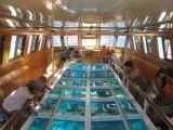 Екскурсії в Єгипті в шарм-ель-Шейху (шарм-ель-Шейху) Екскурсії в Єгипті в шарм-ель-Шейху