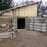 Природне і штучне розмноження бджіл і бджолиних сімей особливості та відео (природне) Природне і штучне розмноження бджіл і бджолиних сімей особливості та відео