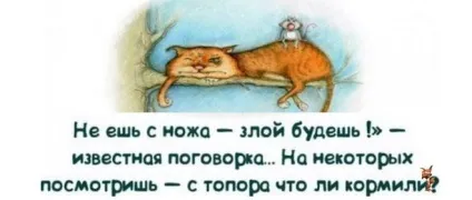 Чи є в українській мові односкладові прикметники і які (є) Чи є в українській мові односкладові прикметники і які